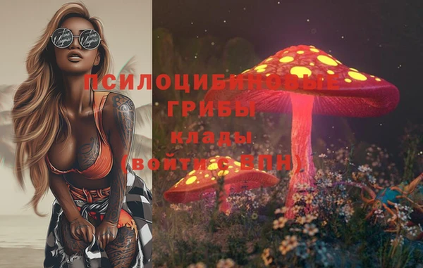 круглые Белокуриха