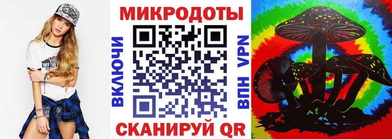 сколько стоит  Нерехта  Псилоцибиновые грибы Psilocybine cubensis 
